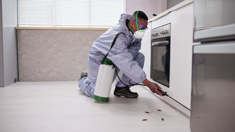 Best Residential Pest Control  in Lexington Hills, CA